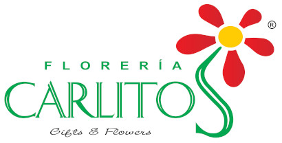 logo-theme